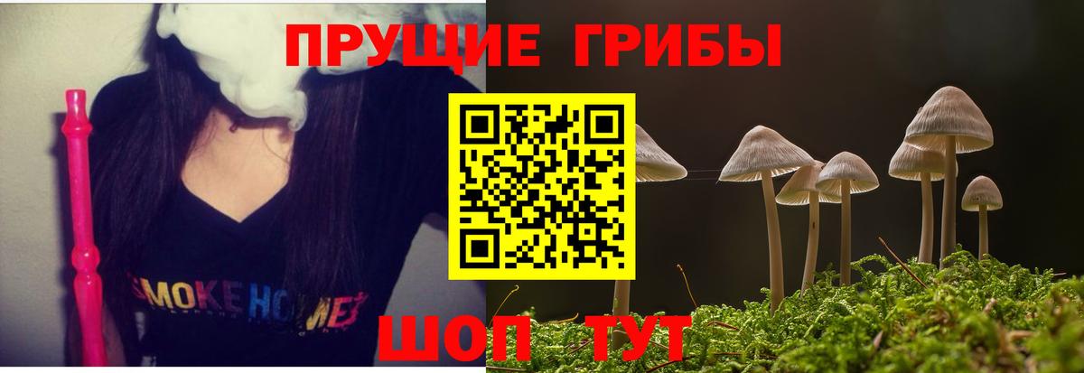 Янаул  Галлюциногенные грибы MAGIC MUSHROOMS  Вход с VPN 
